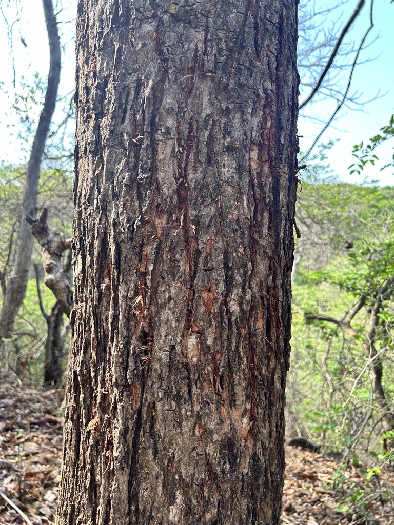 Sustainability Community